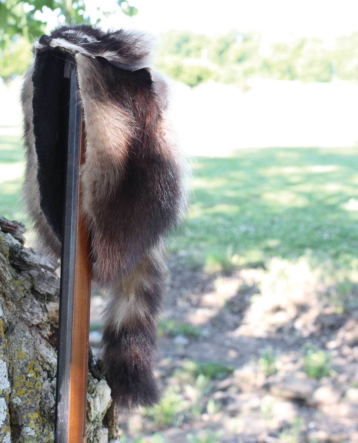 How To Make A Coon Skin Hat
